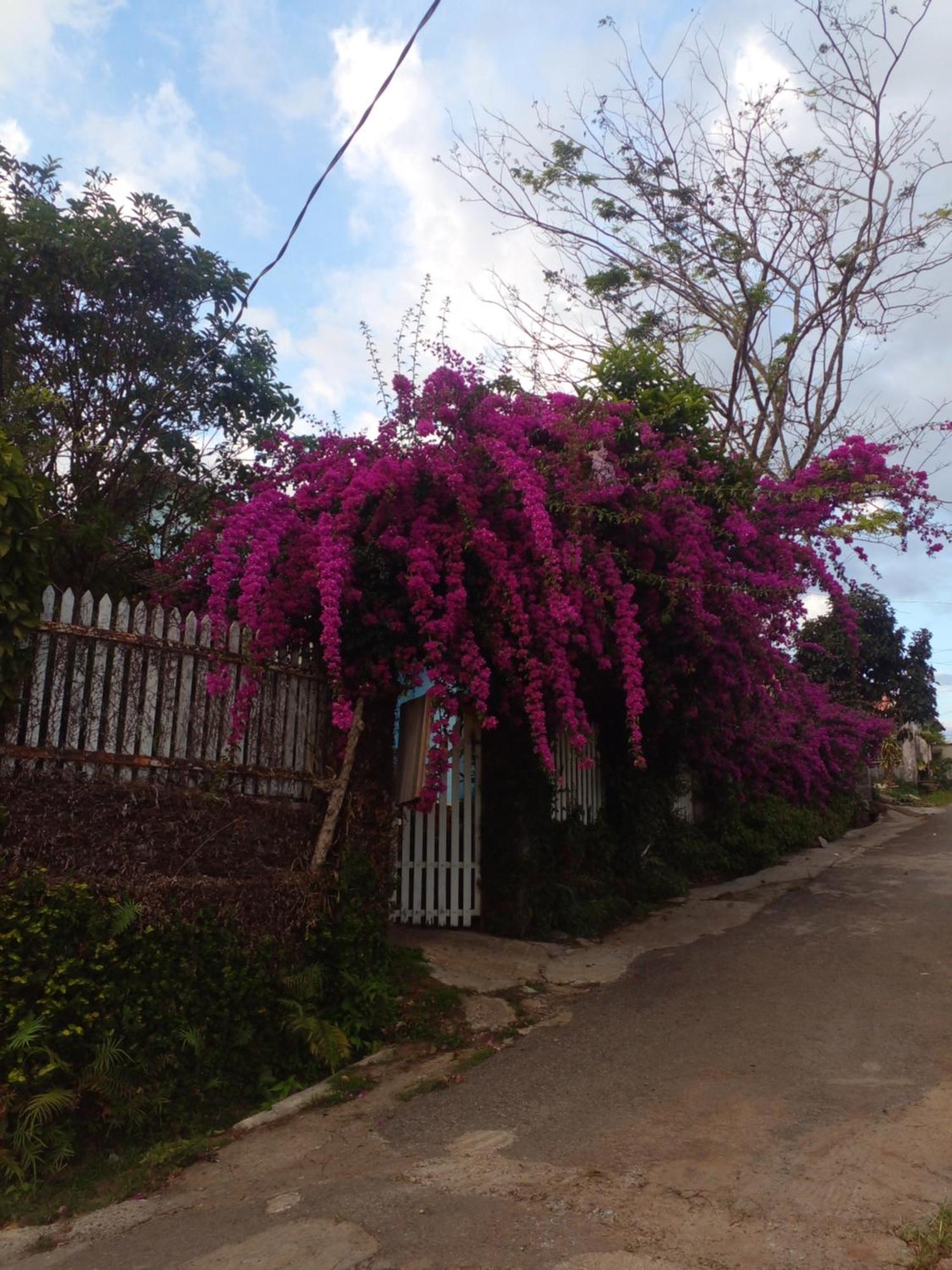 Gia Nghĩa Ly'S Homestay מראה חיצוני תמונה